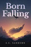Born Falling (eBook, ePUB)