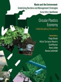 Circular Plastics Economy (eBook, ePUB)