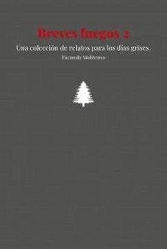 Cover Breves fuegos 2 (eBook, ePUB)