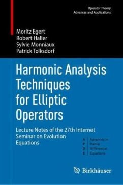 Harmonic Analysis Techniques for Elliptic Operators - Egert, Moritz;Haller, Robert;Monniaux, Sylvie
