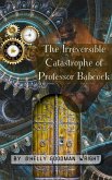 The Irreversible Catastrophe of Professor Babcock (eBook, ePUB)