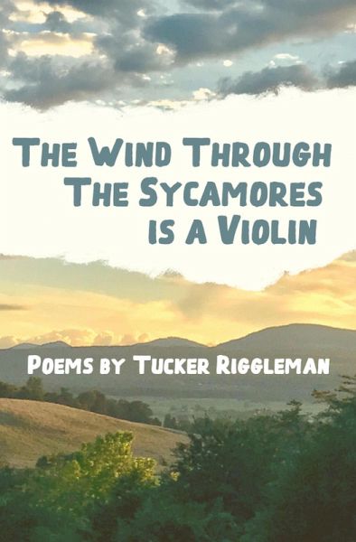 The Wind Through the Sycamores is a Violin (eBook, ePUB)