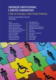 Jurisdição Constitucional e Direitos Fundamentais (eBook, ePUB)