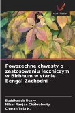 Powszechne chwasty o zastosowaniu leczniczym w Birbhum w stanie Bengal Zachodni Powszechne chwasty o zastosowaniu leczniczym w Birbhum w stanie Bengal Zachodni