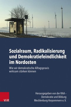 Cover Sozialraum, Radikalisierung und Demokratiefeindlichkeit im Nordosten
