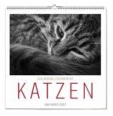 Der literarische Katzen Kalender 2027