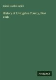 History of Livingston County, New York