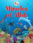 Miracles of Allah - 5 in 1
