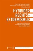 Hybrider Rechtsextremismus
