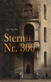 Stern Nr. 300 (eBook, ePUB)