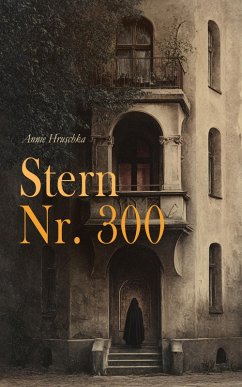 Cover Stern Nr. 300 (eBook, ePUB)