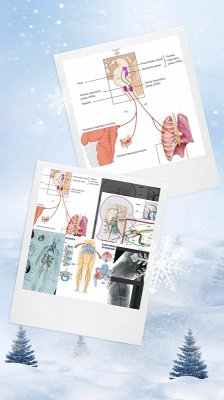 Cover Medcrime Criminal Torturing by Gleneagles Ihh (eBook, ePUB)