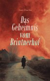 Das Geheimnis vom Brintnerhof (eBook, ePUB)