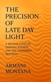 The Precision of Late Day Light (eBook, ePUB)