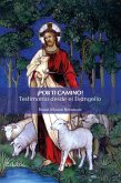 ¡Por ti camino! Testimonio desde el Evangelio (eBook, ePUB)
