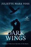 Dark Wings (eBook, ePUB)