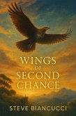Wings of Second Chance (eBook, ePUB)