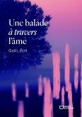 Une balade à travers l'âme (eBook, ePUB)