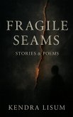 Fragile Seams (eBook, ePUB)