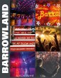 Barrowland (eBook, ePUB) - Bild 1