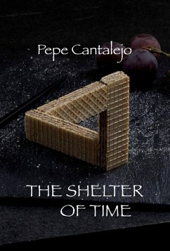 Cover The Shelter of Time (Dham, #1) (eBook, ePUB)