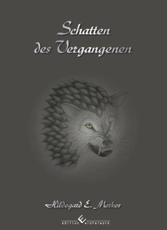 Cover Schatten des Vergangenen Band 2 (eBook, ePUB)