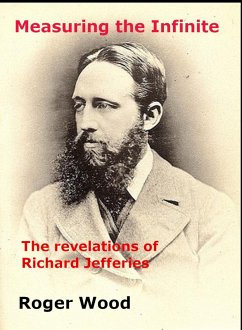 Measuring the Infinite (Monography, #2) (eBook, ePUB) - Wood, Roger