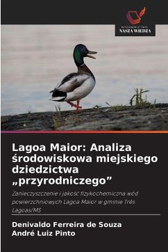 Cover Lagoa Maior: Analiza ¿rodowiskowa miejskiego dziedzictwa 