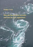 Was die Geschichte antreibt - und wie sie sich organisiert