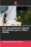 Mel: um potencial agente terapêutico para a febre tifóide