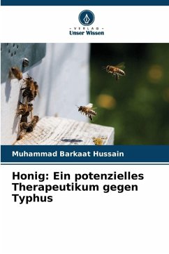 Cover Honig: Ein potenzielles Therapeutikum gegen Typhus