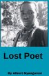 Lost Poet - Bild 1