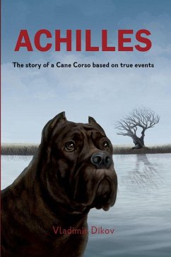 Cover Achilles-A story about friends