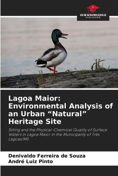 Cover Lagoa Maior: Environmental Analysis of an Urban 