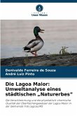 Die Lagoa Maior: Umweltanalyse eines städtischen 