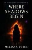 Where Shadows Begin (eBook, ePUB)