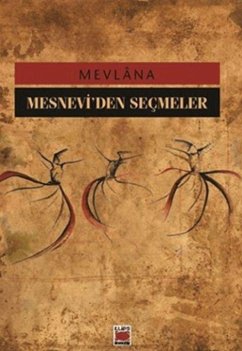 Cover Mesneviden Secmeler