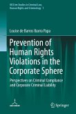 Prevention of Human Rights Violations in the Corporate Sphere (eBook, PDF)