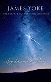 The Spy Beneath The Stars (eBook, ePUB)