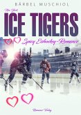 New York Ice Tigers. Eine spicy Eishockeyromance (eBook, ePUB)