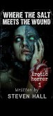 Where the Salt Meets the Wound (Erotic horror, #1) (eBook, ePUB)