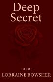 Deep Secret (eBook, ePUB)
