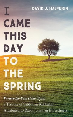 I Came This Day to the Spring (eBook, ePUB) - Halperin, David J.