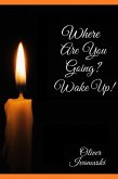 Where are you going? Wake up! (eBook, ePUB)