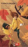 Türkülerden Secmeler