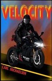 Velocity (eBook, ePUB)