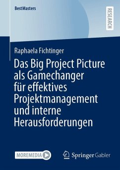 Das Big Project Picture als Gamechanger für effektives Projektmanagement und interne Herausforderungen (eBook, PDF) - Fichtinger, Raphaela