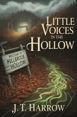 Little Voices In The Hollow (eBook, ePUB)