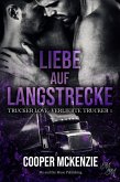 Liebe auf Langstrecke (eBook, ePUB)