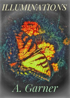 Cover Illuminations (Graphic Art Poetry, #1) (eBook, ePUB)